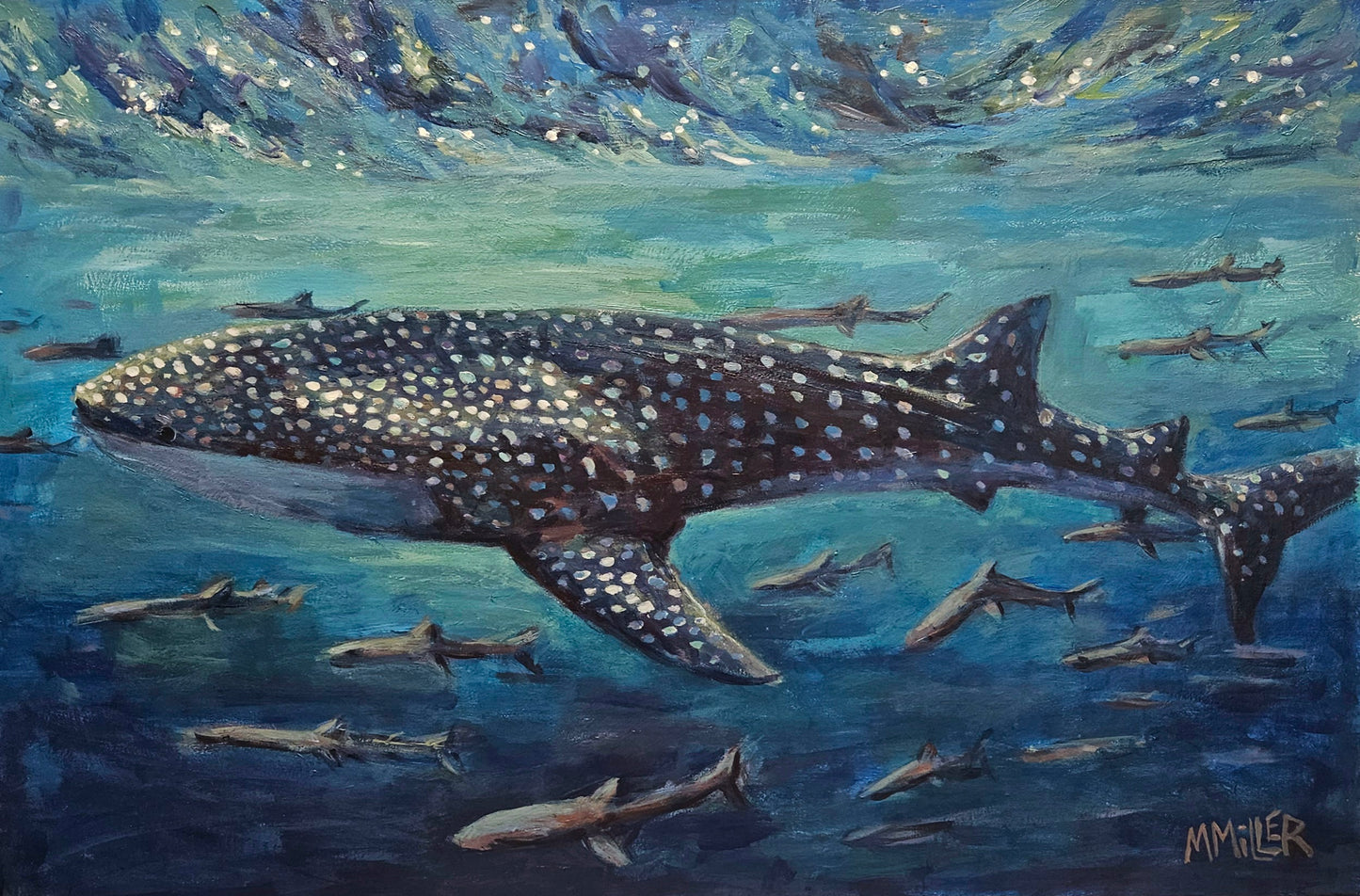 Whale Shark